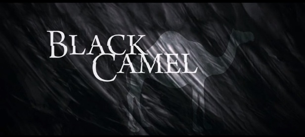 Video Black Camel