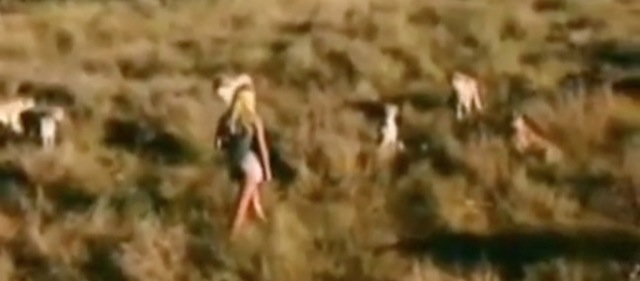 Video astuce faire face a des guepards et lions