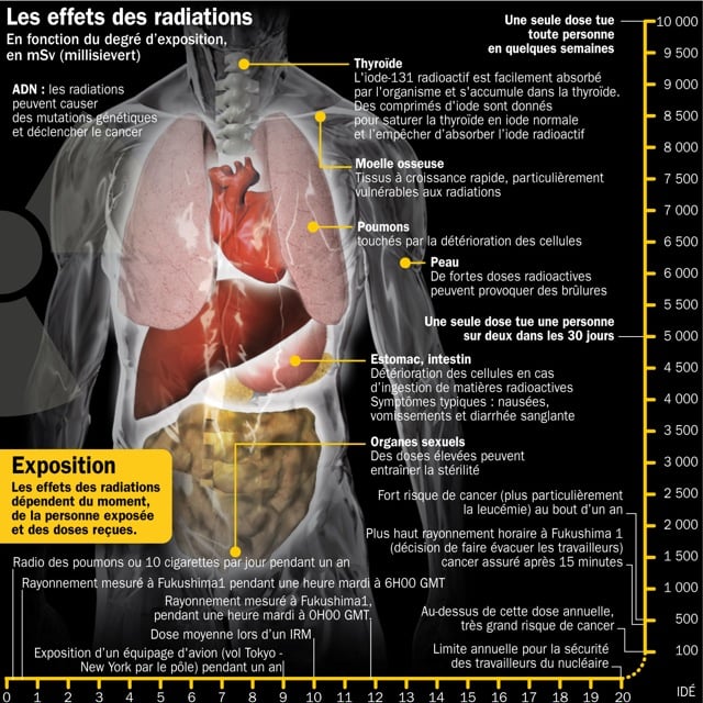 Effets des radiations sur le corps humain