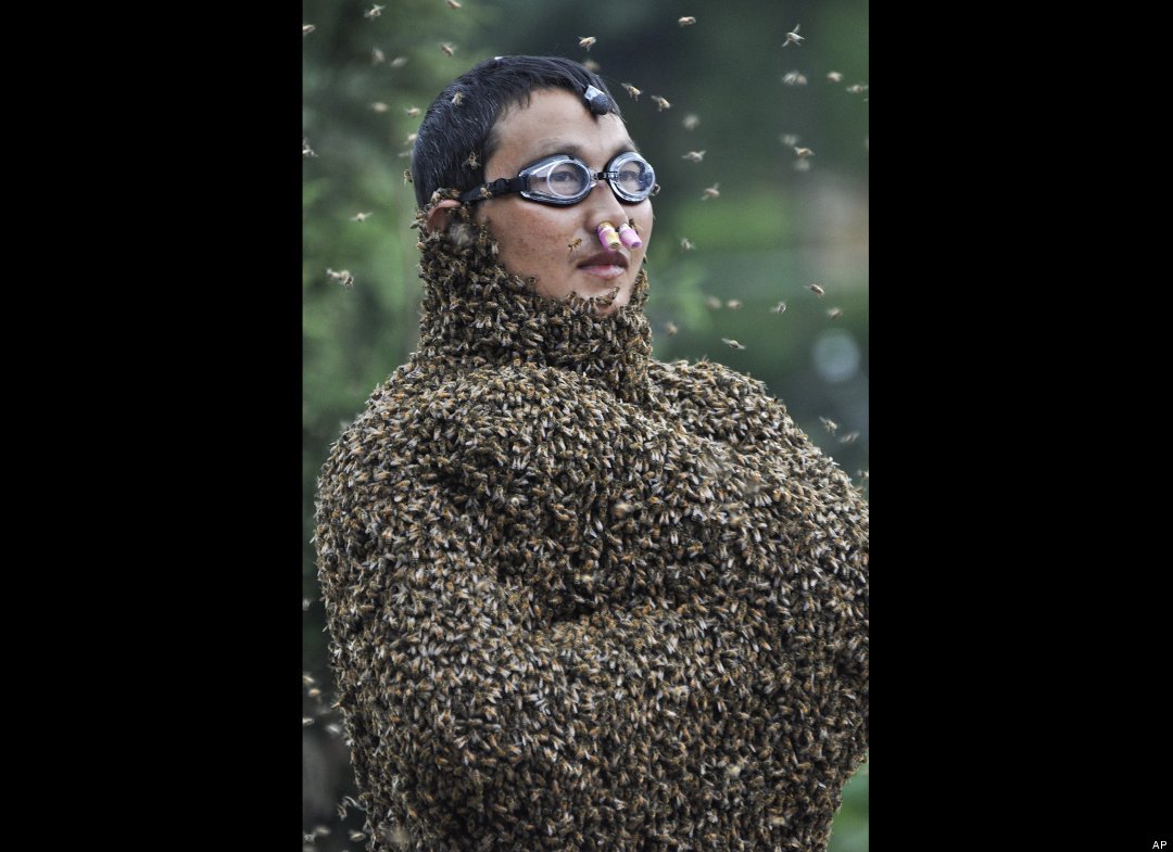 Wang Dalin record abeilles sur le corps