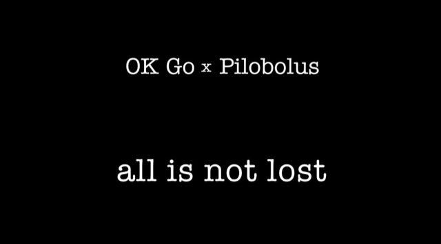 Video OK Go All Is Not Lost feat Pilobolus