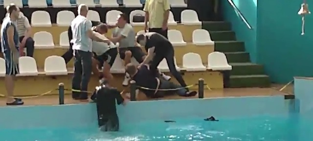 Video bagarre delphinarium Russie