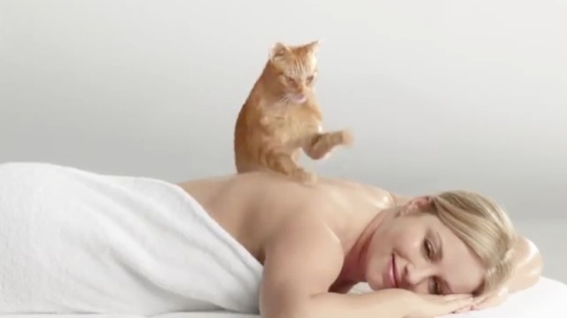 Video Pub Cats Pride Massage