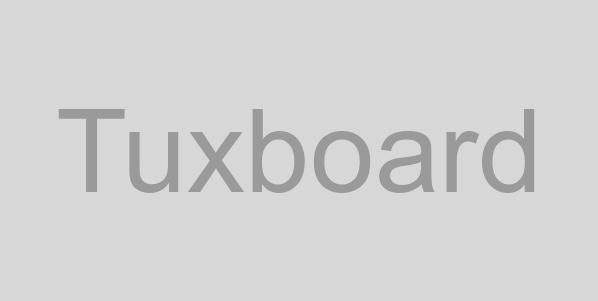 Nouveau permis conduire puce