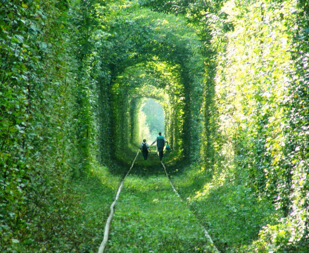 Tunnel-of-Love-chemin-de-fer-nature-1000x821.jpeg