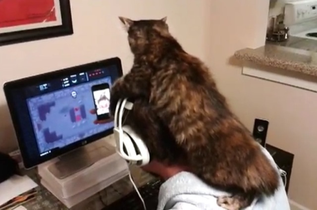 Video chat sur le casque