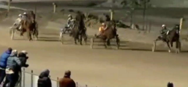 Video sextape course de chevaux