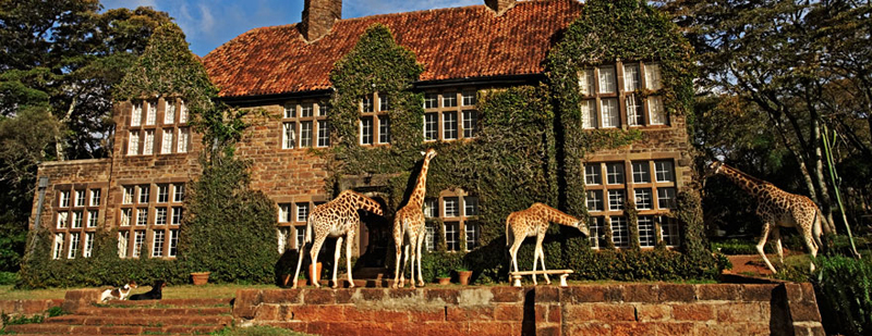 Hotel au milieu des girafes