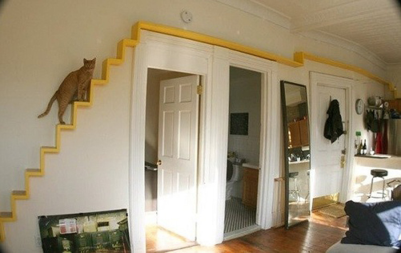 escalier exterieur chat