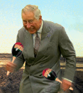Meme Prince Charles 20