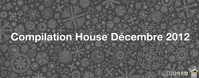 Compilation Electro House progressive Decembre 2012