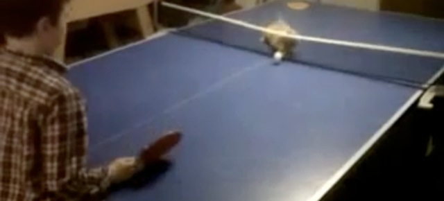 Video Chat joueur de ping pong
