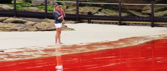 Video Ocean rouge Australie