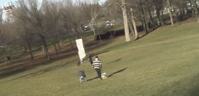 Aigle royal attrape un enfant dans un parc