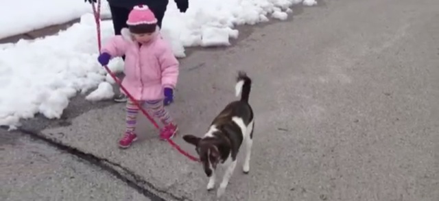 fille se marre en promenant son chien