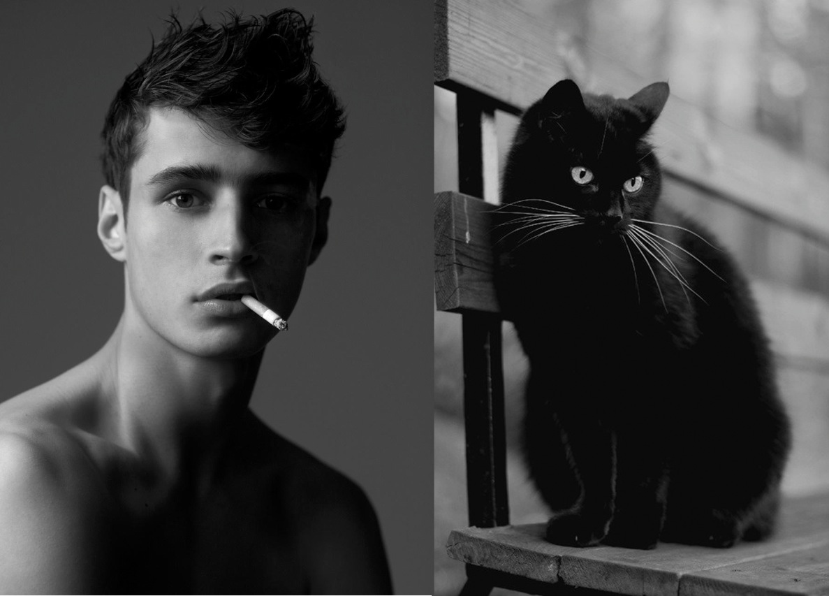 Hommes Chatons  15