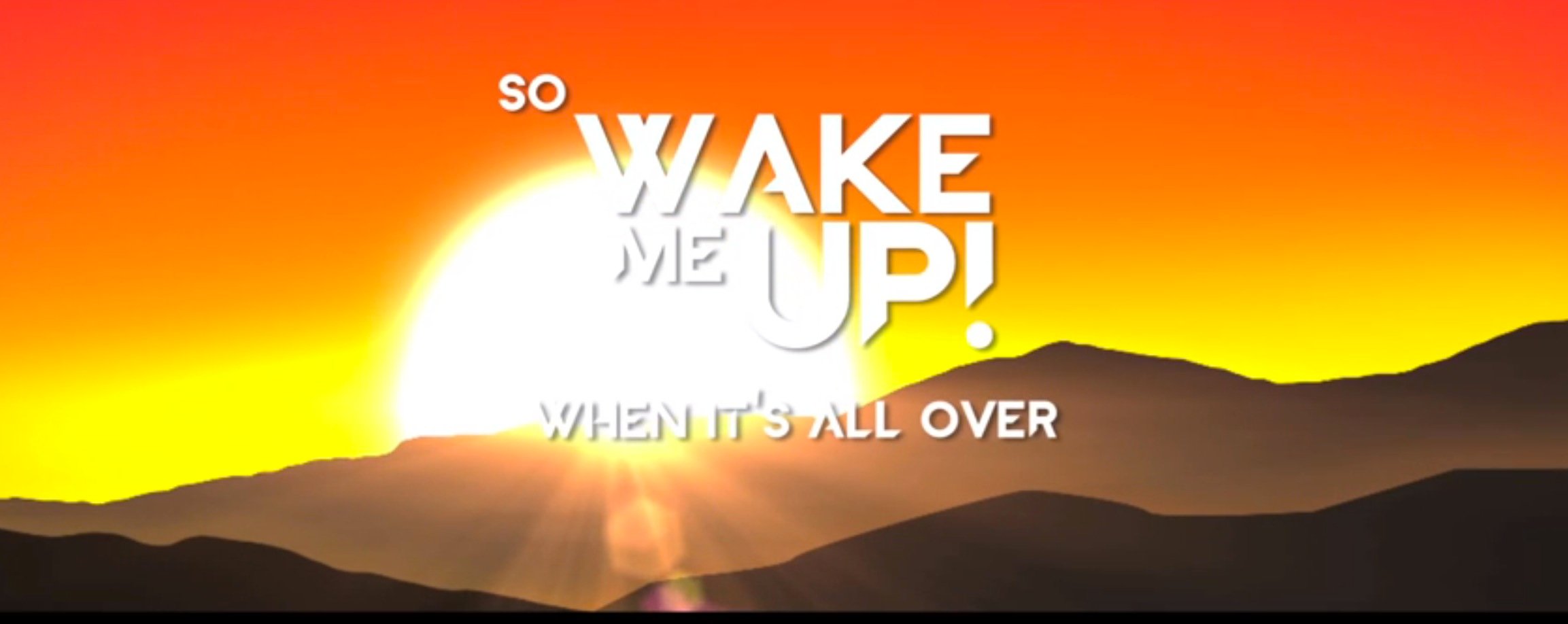 Avicii Wake Me Up Lyrics