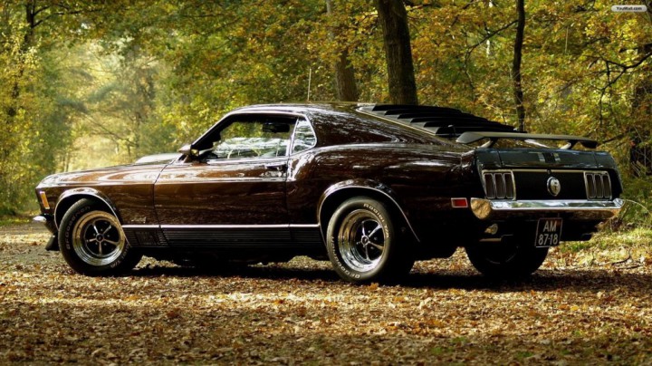 Ford Mustang 29