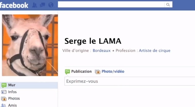 Serge le Lama Facebook