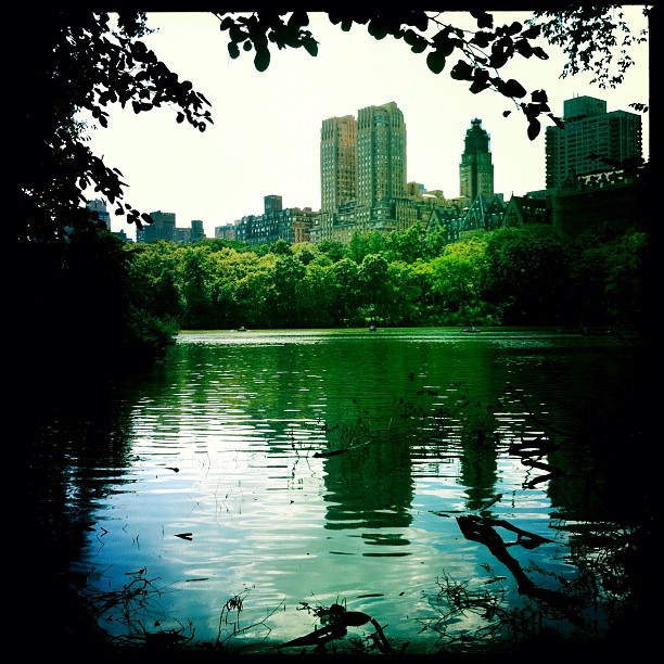 central park instagram