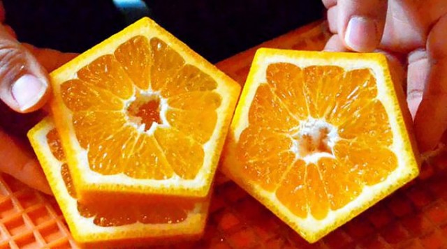 japon gokaku orange