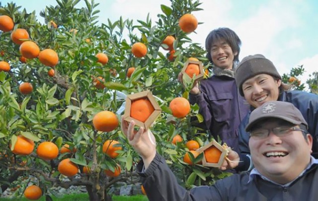 orange chance examen pentagone japon