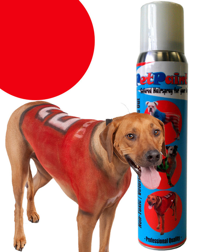 PetPaint chien peinture