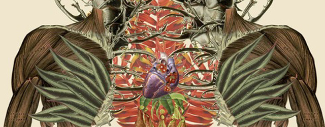 anatomie corps humain fleurs travis bedel