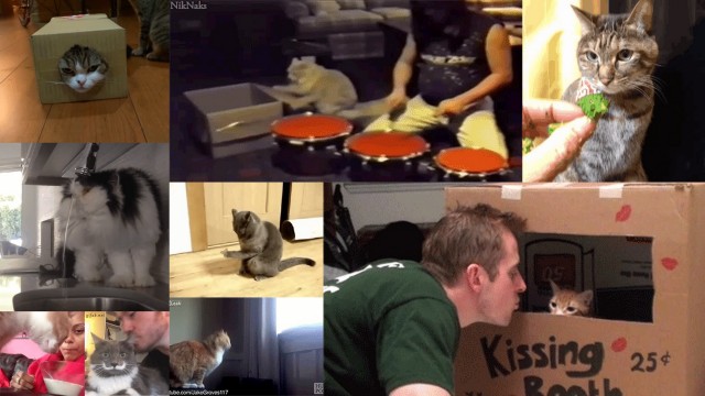 chats Compilation Gifs