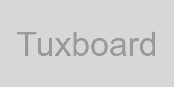 flappy-bird-clones-video