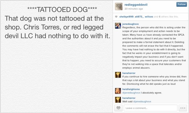 tatouage chien polemique