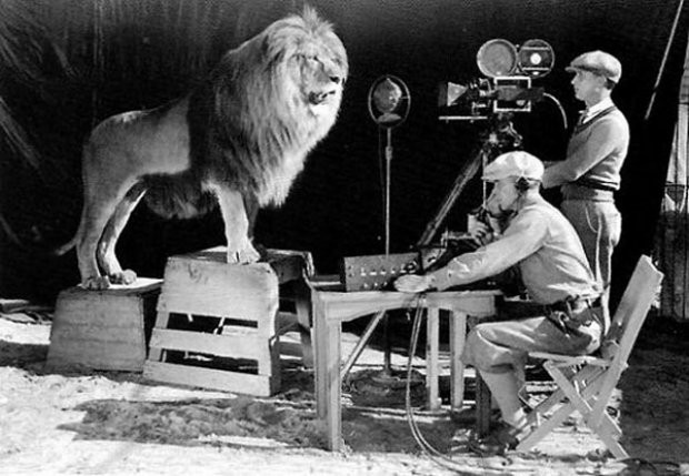 Leo lion MGM logo