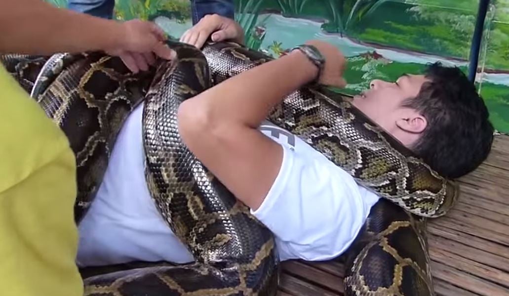 Massage python