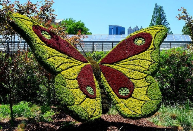 Jardin Atlanta Papillon