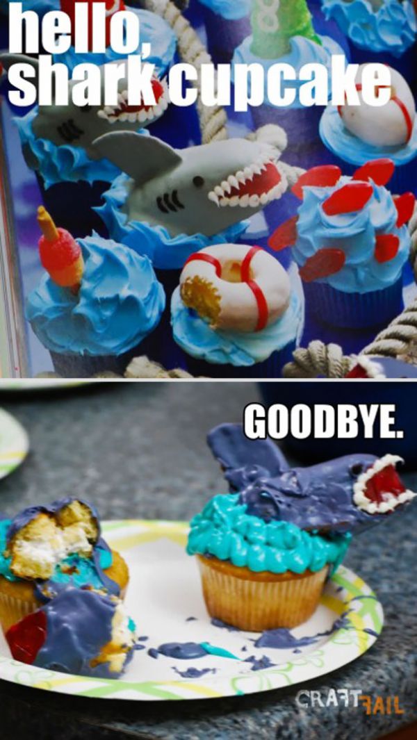 cupcake-requin