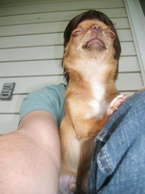 selfie chien