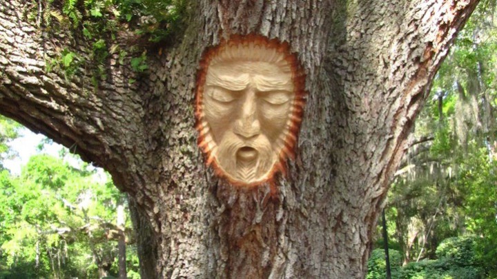 Keith Jennings tree spirits