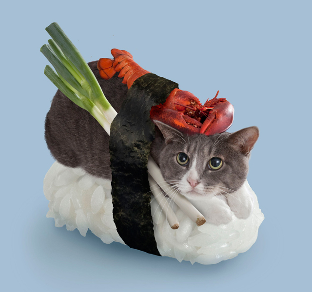 Most-Adorable-Sushi-Rice-Creations-Ever-03