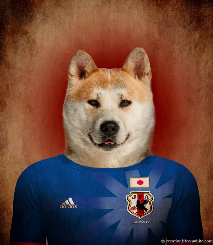 chiens coupe du monde 2014 akita inu