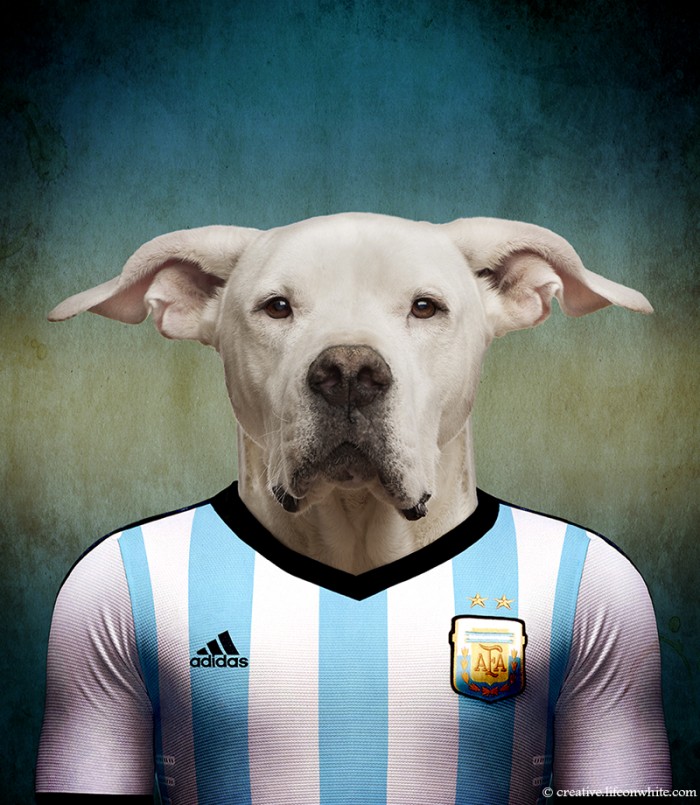 chiens coupe du monde 2014 dogue argentin