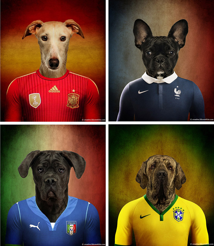 chiens coupe du monde 2014
