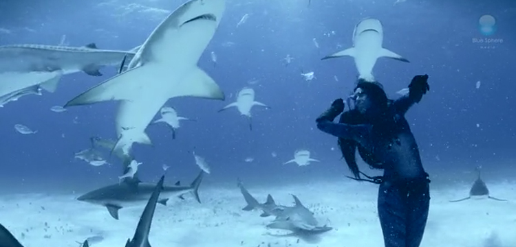 femme danse avec requins tigres