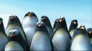 gifs mercredi pingouin 6