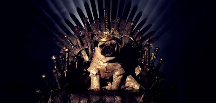parodie generique game of thrones chiens