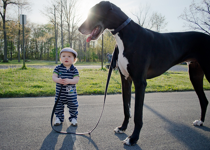 22 photos enfants chiens Brett Manippo