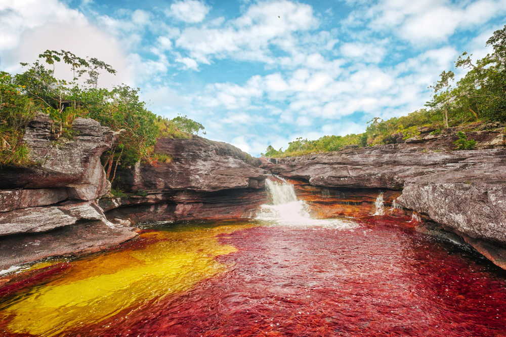 Riviere Cano Cristales Colombie