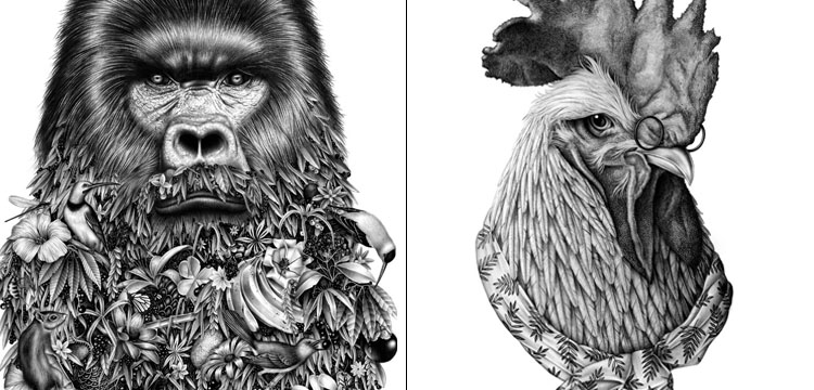 dessins surrealistes animaux barbe flore violaine jeremy