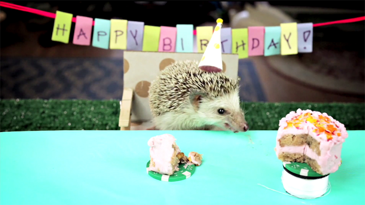 gateau anniversaire hamster herisson
