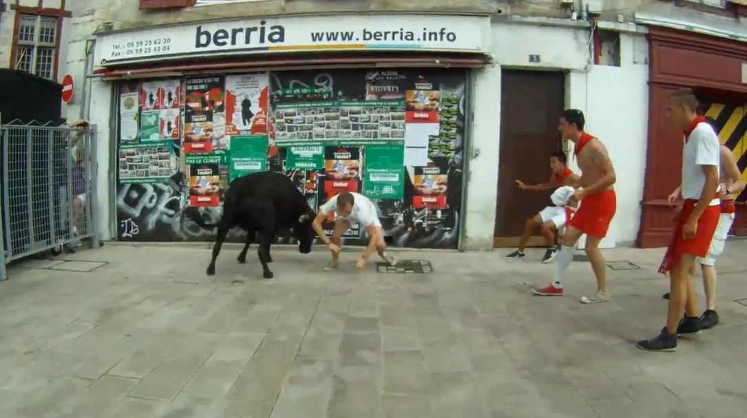 vache vs homme selfie fete bayonne 1