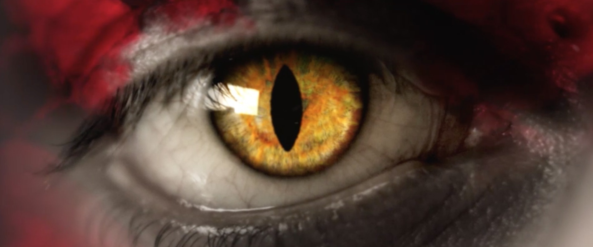 Mesut Ozil yeux de Predator instinct